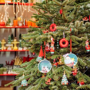 برخه اخیستنه د کرسمس سینګار د ونې بوټان ګلونه واده وکړ